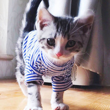Striped Dog Cat Clothing Cotton Pet Clothes For Small Dogs跨