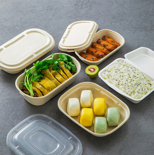 Disposable lunch box, environmentally friendly and biodegradable, paper pulp packaging box, lunch box with lid, thickened fruit salad box, commercial