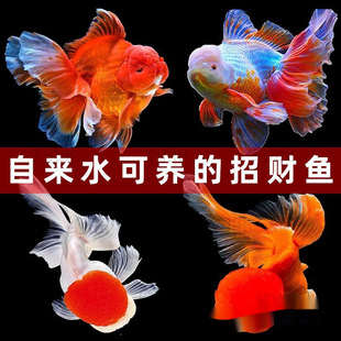 ���~���~��ˮ�~���^�p�~�{���^���~����ԁ�ˮ���B�ͻ��~�ݽ�С�~