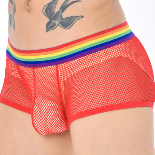 Men's Low-Waist Sexy Sheer Underwear Rainbow Belt Breathable Straight Leg Panty Sexy Sheer Erotic Lingerie