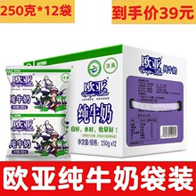 欧亚牛奶大理纯牛奶250ml*12袋装整箱 云南特产 早餐奶牛奶