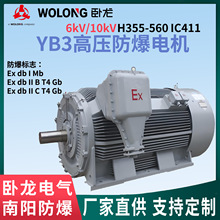 石油化工防爆电机二级能效高压异步6/10kV卧龙CNE南阳防爆B3B35V1