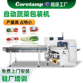 全自动气动伺服蔬菜包装机 根类蔬菜装袋枕式机 叶菜套袋打包机