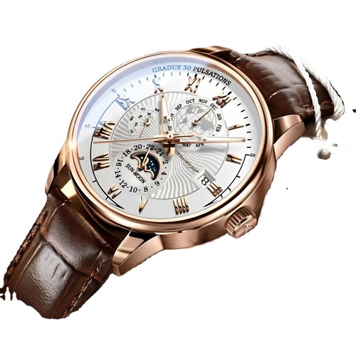 Watches Men's Top Ten Swiss Fully Automatic Machine Watches Waterproof Luminous Mechanical Leather Strap Quartz Watches Business Watches