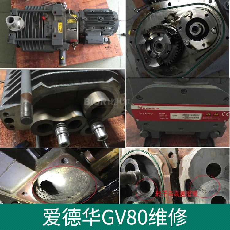 EDWARDS爱德华GV80工业型干式真空泵 GV80维修东莞厂家