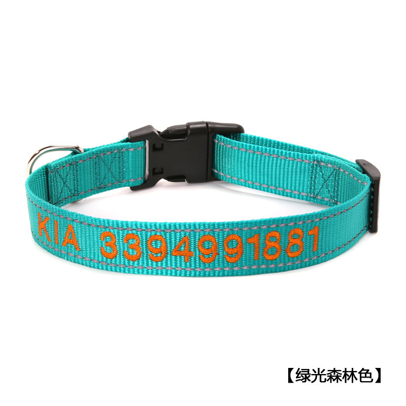 녹색 빛의 숲 색상