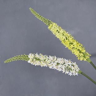 ���滨�w��ݺ�β�ݪ�β�ݿ͏d�廨�bٻ��[���P�����컨�Rβ��