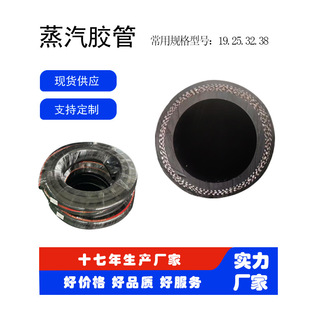 1 Inch 25mm Diameter Single 20m Steam Hose, Epdm Rubber, High Temperature Resistant Water Pipe, Special for Steam