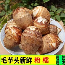 �F�����rСë���^ţ�������߲���ܵ����Ŵ�����l������Ŵ���l