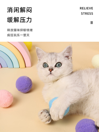 Cat Toy Silent Teeth Cleaning Kitten Pet Supplies Funny Cat High-Elastic Colorful Plush Ball Gift Box