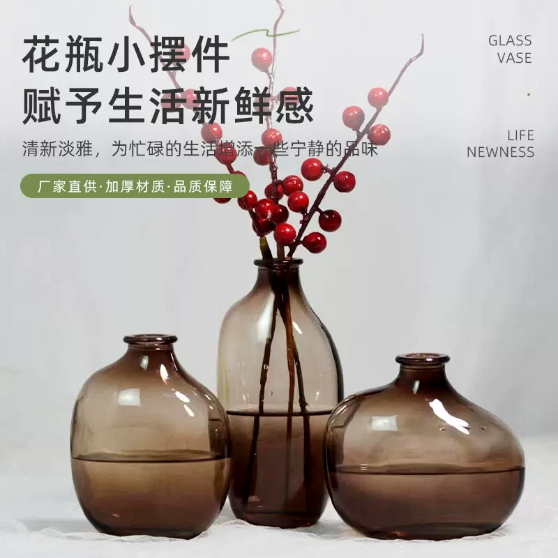 创意高级感玻璃花瓶高颜值插花水培植物器皿摆件客厅装饰小花瓶