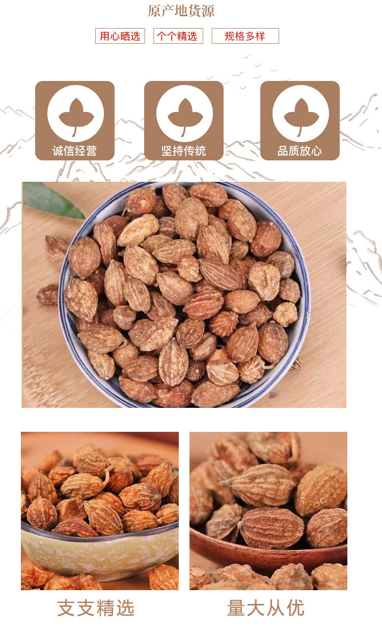 Yi Zhi Ren Dried Alpinia Oxyphylla Fruit 500g Traditional Herbal Tea and Decoction Ingredient in use