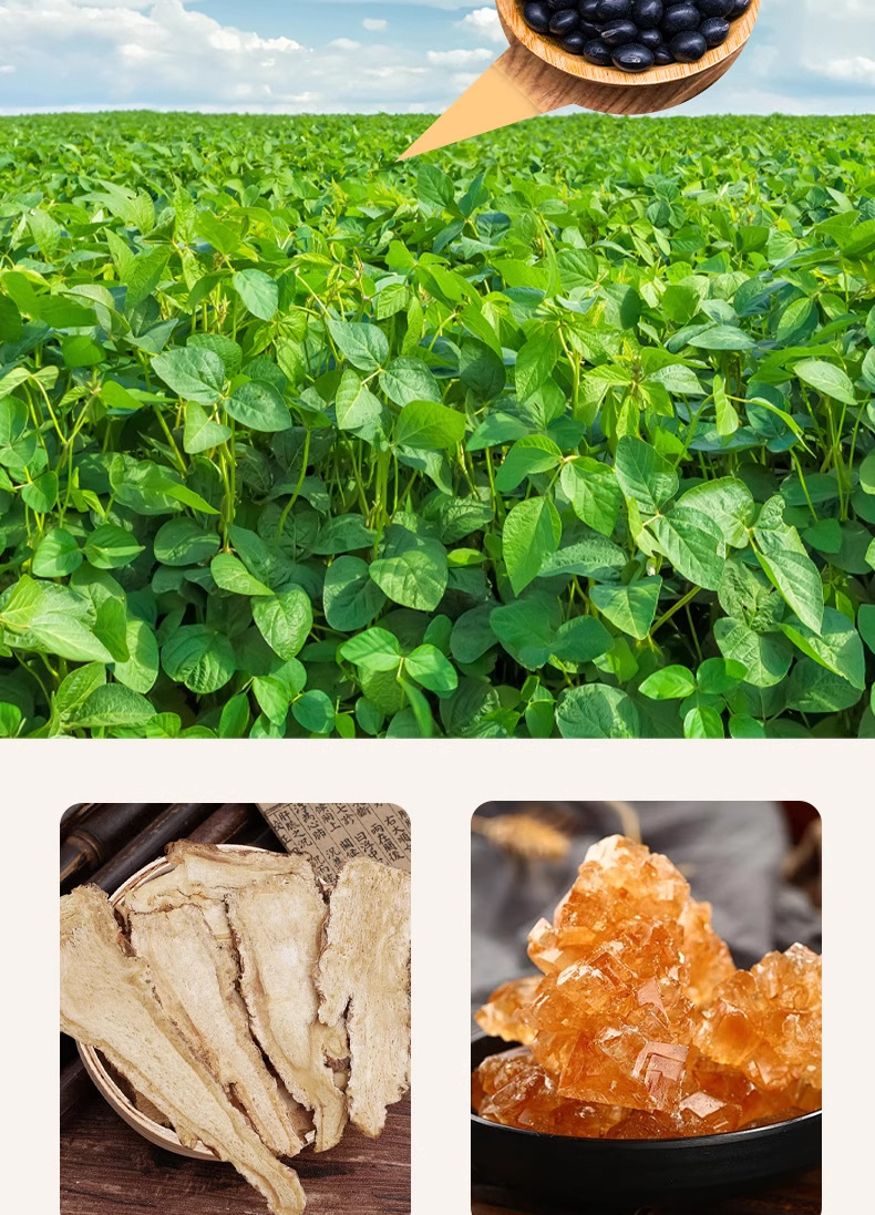 Angelica Black Bean Snack Dang Gui Hei Dou Roasted Crispy Salt-Free Ready to Eat 200g quality and texture