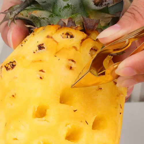 Manufacturer wholesale stainless steel pineapple eye remover fruit peeler blade seed remover clip eye digging tool pineapple hole digger
