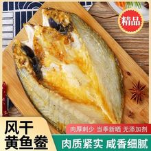 东海咸香大黄鱼开背黄鱼鲞脱脂黄花鱼干盐腌微咸黄鱼鲞温州特产