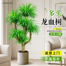 ��Ѫ����^�Ϙ������҃ȴ�����횘�Gֲ�k���Һ��B���F����B�G��
