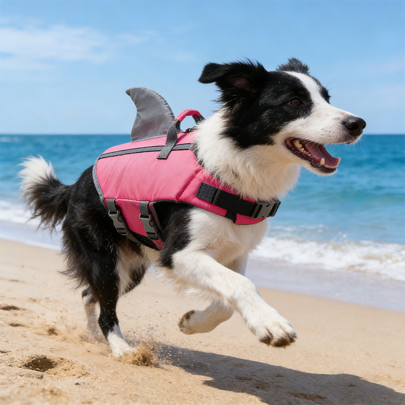 Shark Fin Dog Swimsuit