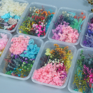 �ɻ��������������鸡�λ��Ļ��^��޹Ϟ�TDIY��ͯ���F�Ȳ��ϰ�