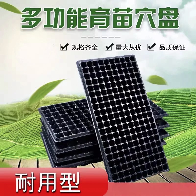 育苗盘塑料杯种植林木育苗盆营养钵蔬菜育种扦插农用托盘穴盘