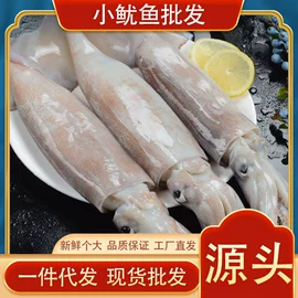 海参;鱼类;贝类