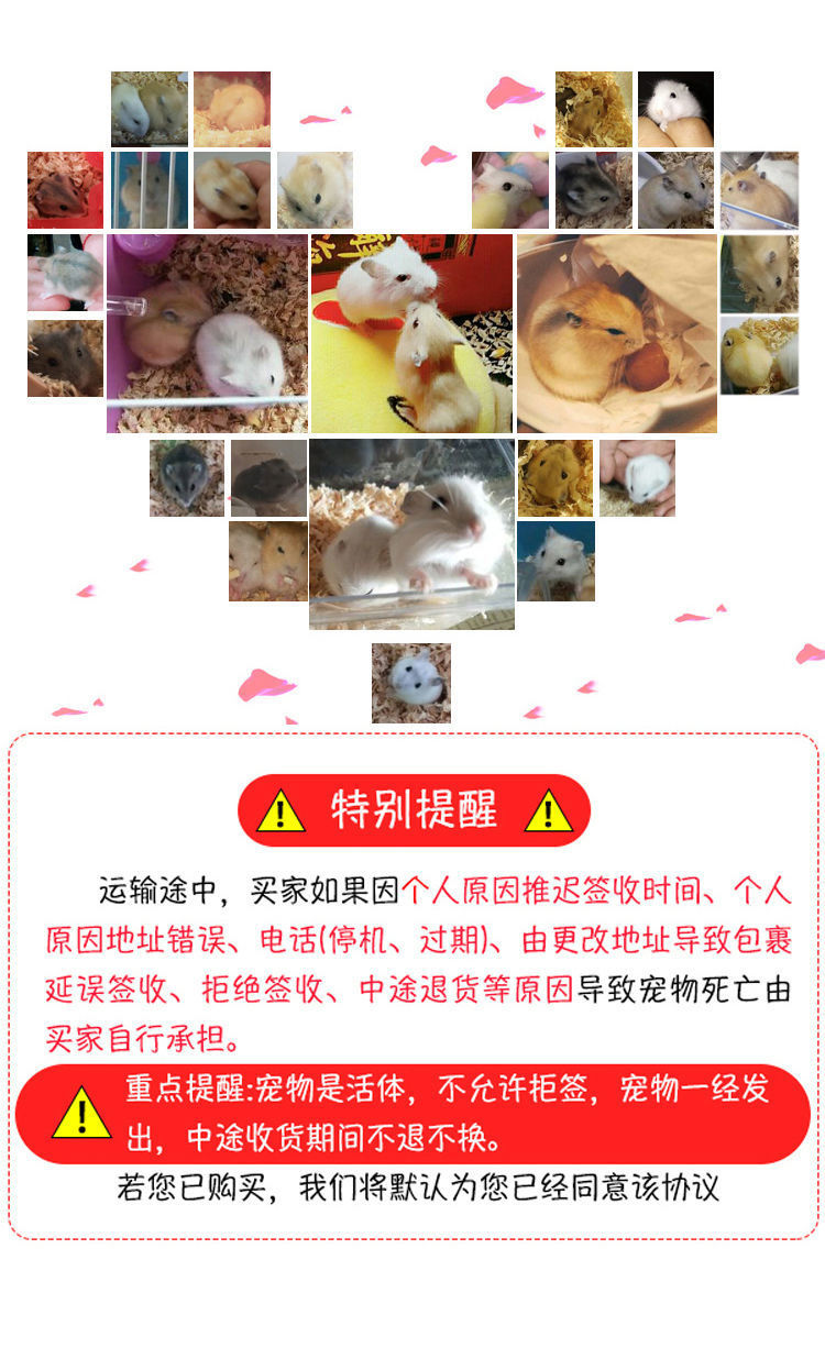 b7bef263-9a39-4e8b-b54a-01f16f3e0f52.jpe