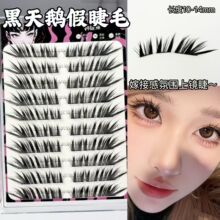 �����Z�ٽ�ë���޽������������R��β�´��냺����ϵ���z��ճ����