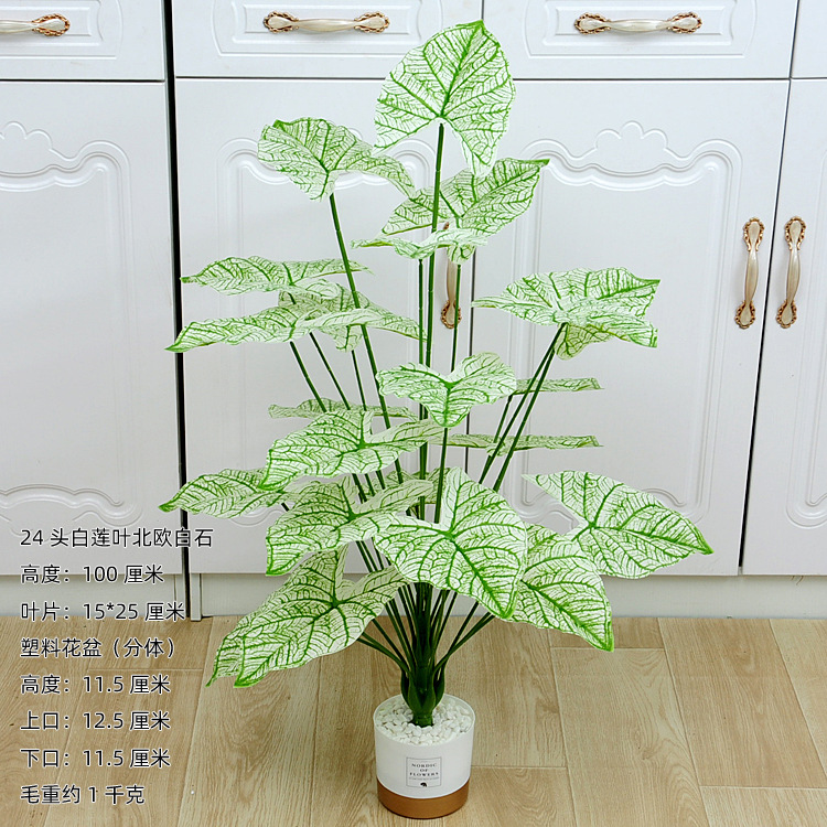 100厘米24头白莲叶北欧白石