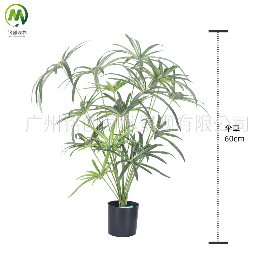 Paisaje interior del suelo, planta pequeña de hoja grande, planta pequeña, planta de taro de hadas, 60cm, planta verde de simulación de monstera, planta pequeña en maceta image 14