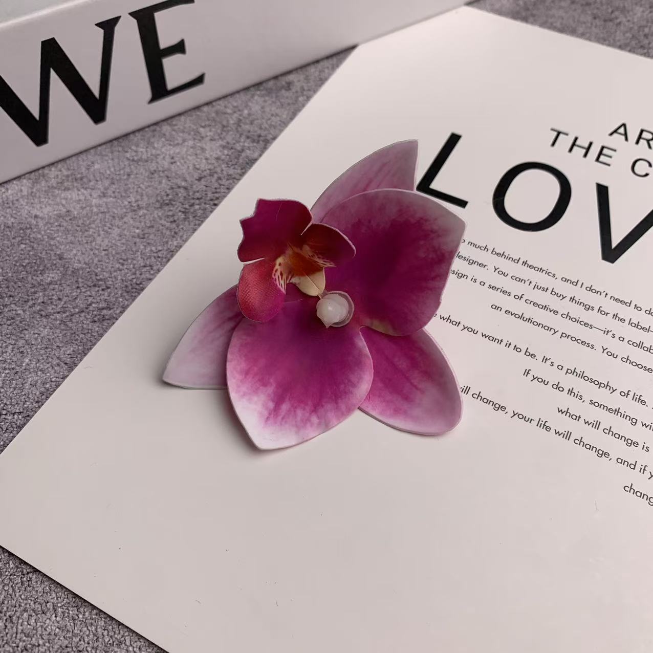 미니 호접란 꽃잎 파우더 5