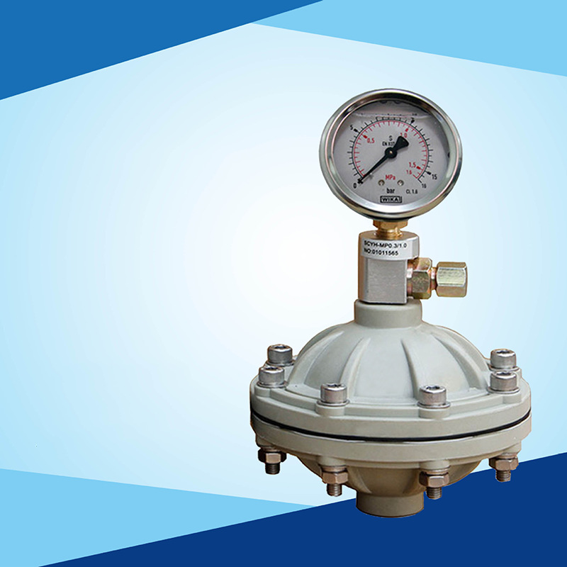 PP脉冲阻尼器 隔膜脉冲阻尼器 缓冲器空气室均流器 PP阻尼器