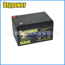 DRYPOWER蓄电池12SB12P-F2/12V12AH现货销售