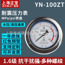 �Ϻ�����YN-100ZT��������230psi�����͉���ˮ���퉺����1.6MPa