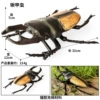 HZJM large cotton-filled stag beetle (yellow wings)