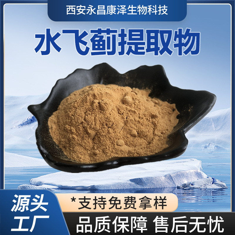 水飞蓟提取物 水溶水飞蓟粉固体饮料食品级药食同源原料现货直发
