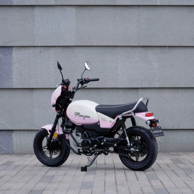 The Haochen Is Adorable, Low-Slung, with Motosikletlər