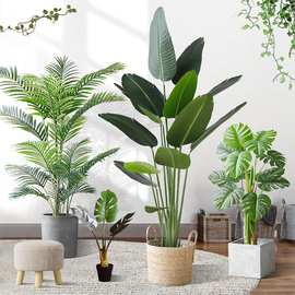 仿真植物盆栽天堂鸟落地盆景室内装饰小绿植旅人蕉盆栽摆件假绿植