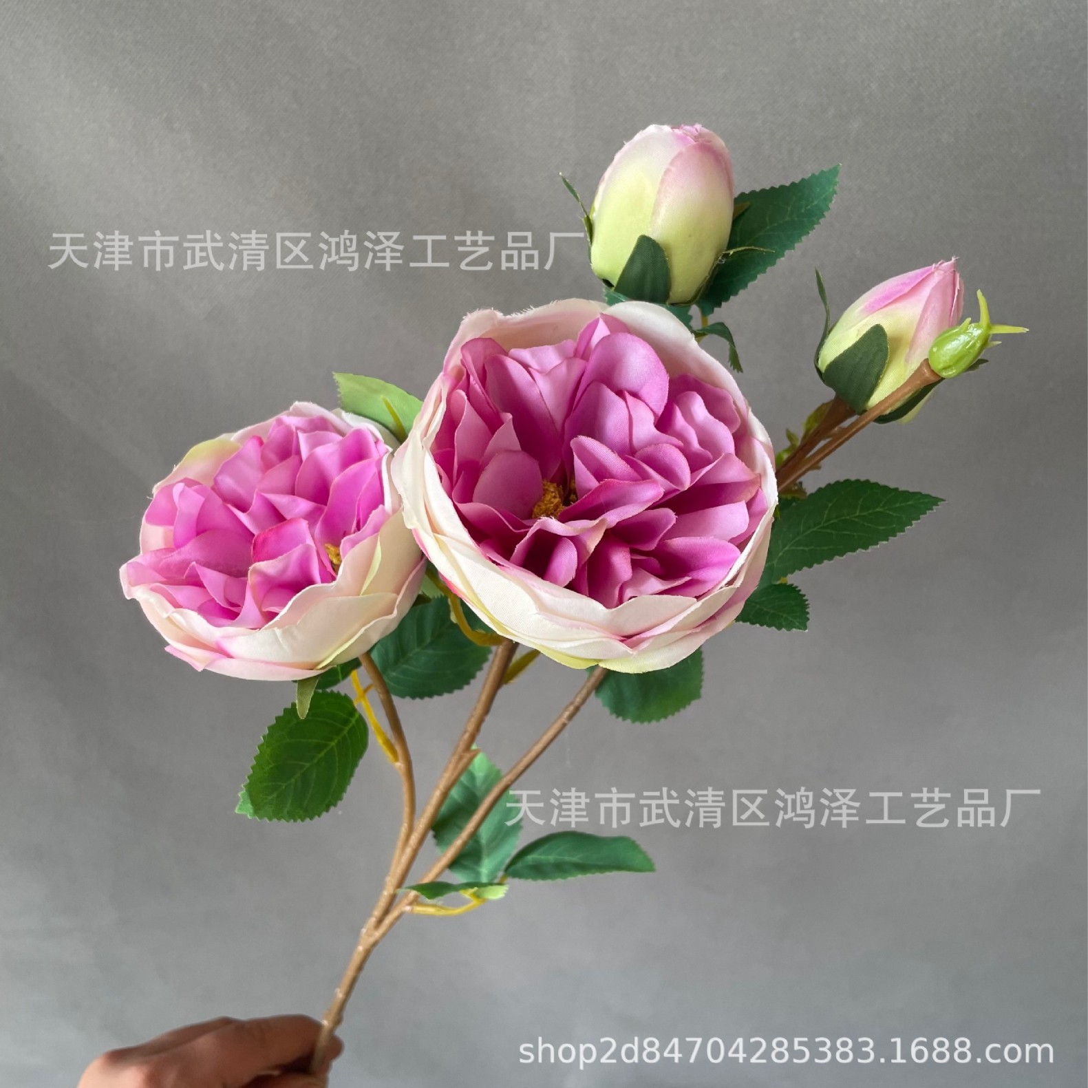보라색