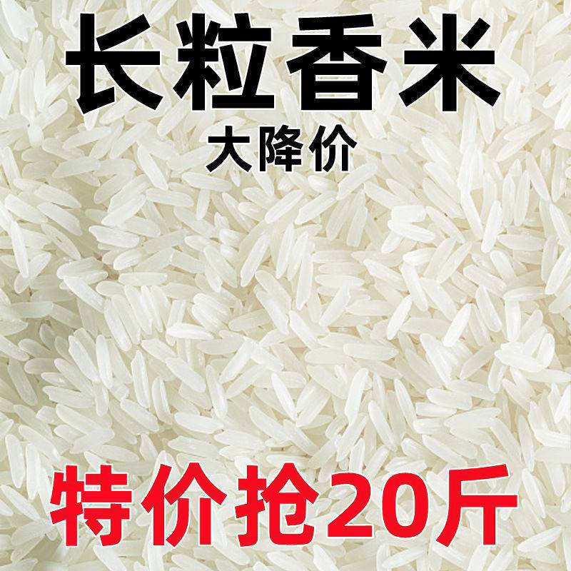 大米新米长粒香象牙香米丝苗米超长正宗猫牙米滋补品小袋便宜|undefined