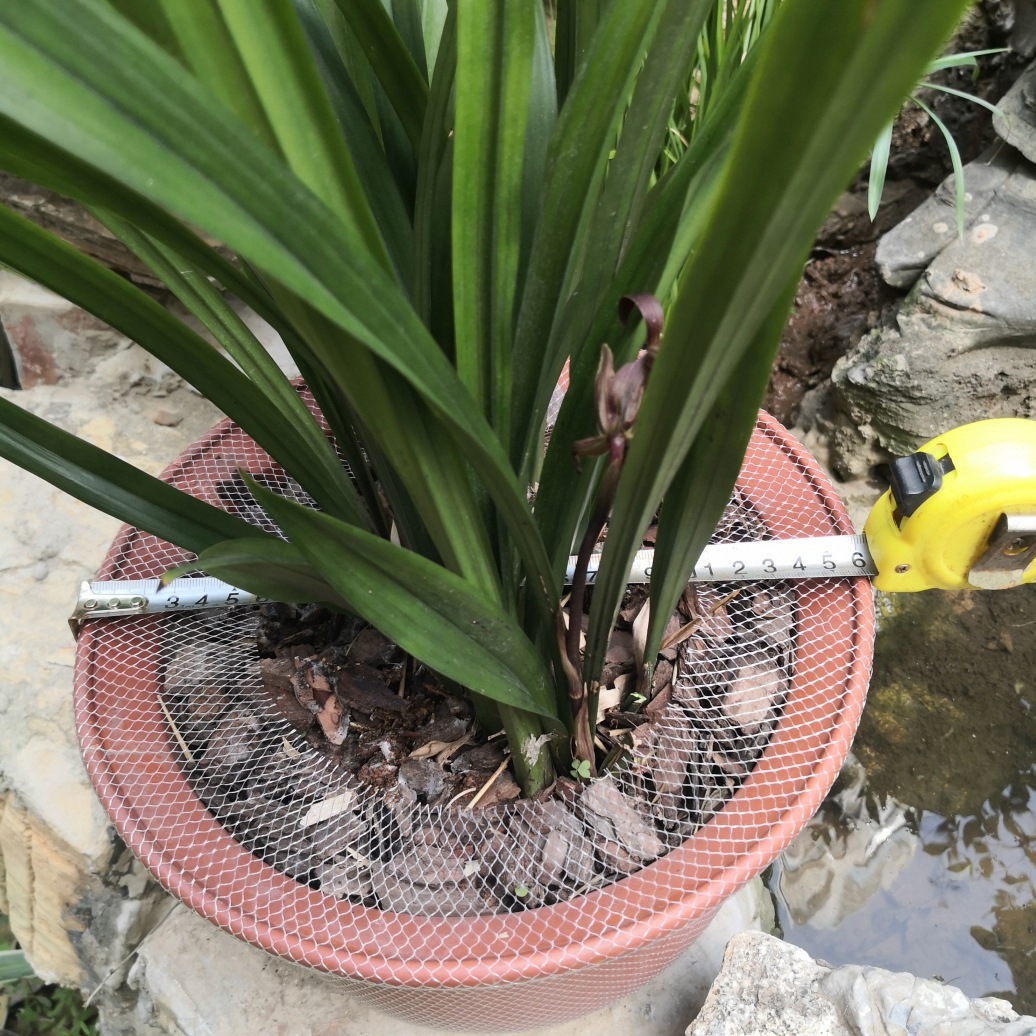 微信图片_20230408122333