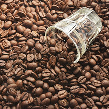 貓屎風味咖啡豆 生豆新鮮烘焙香醇可代磨黑咖啡粉227g