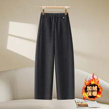 �ŷ�Ŵ�׏������ѝŮ2026�ﶬ�¿�ӽq�Ӻ����С�������e����ѝ