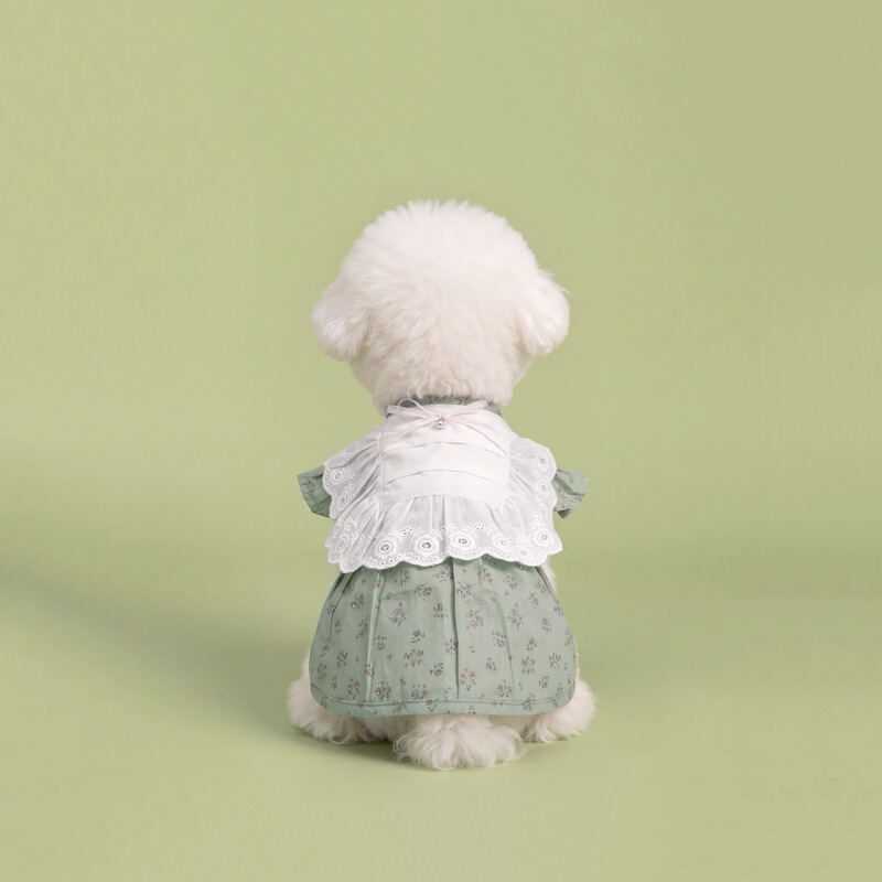 Pet clothes autumn style green small floral ruffled collar dress for Teddy, Bichon, Schnauzer, and Maltese Pet clothes autumn style green small floral ruffled collar dress for Teddy, Bichon, Schnauzer, and Maltese