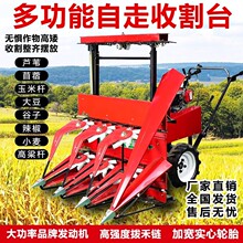 ๦ַɹСͼøݻոޣĿݲ«έɹ