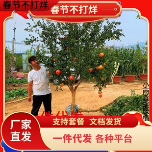 һ�����l�ش�ʯ������ͻ��˹ܛ�ѵ���ͥԺ������ӟo����ʯ���