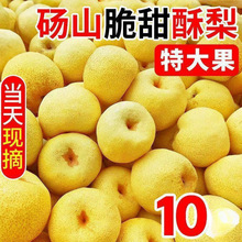 �Xɽ���殔�����rˮ����Ƥ����ؕ���������l���]