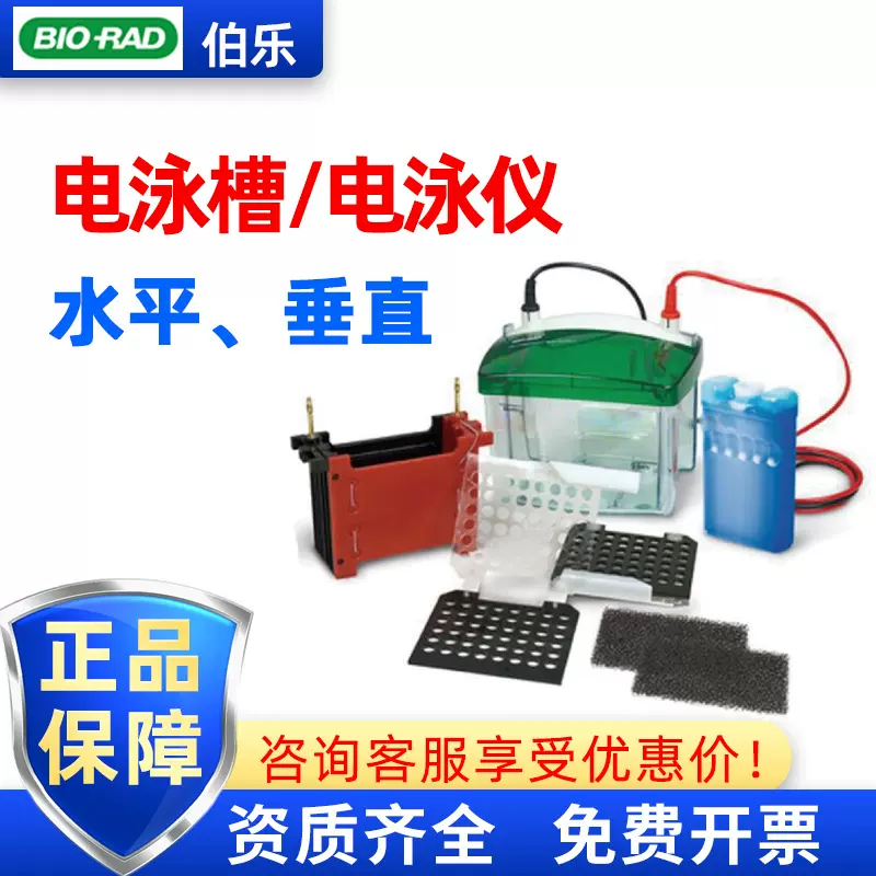 美国 伯乐电泳槽 水平电泳槽 实验室 电泳实验 垂直 电泳槽