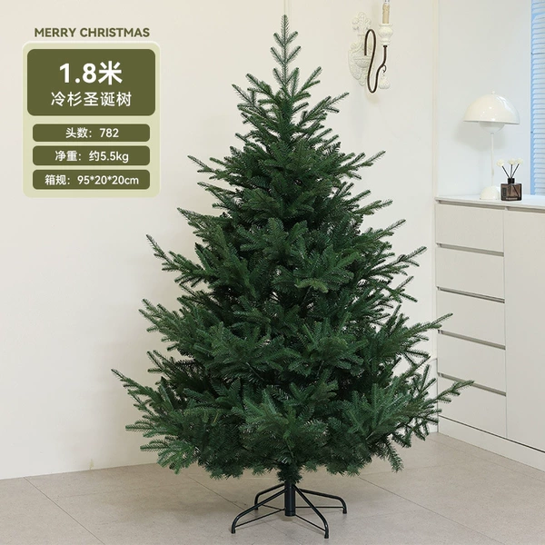 1.8 meters of fir tree