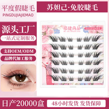 ��������Ȼ������ж��ϵ�K槼����z�ٽ�ë�o�������½�ë�羳���l