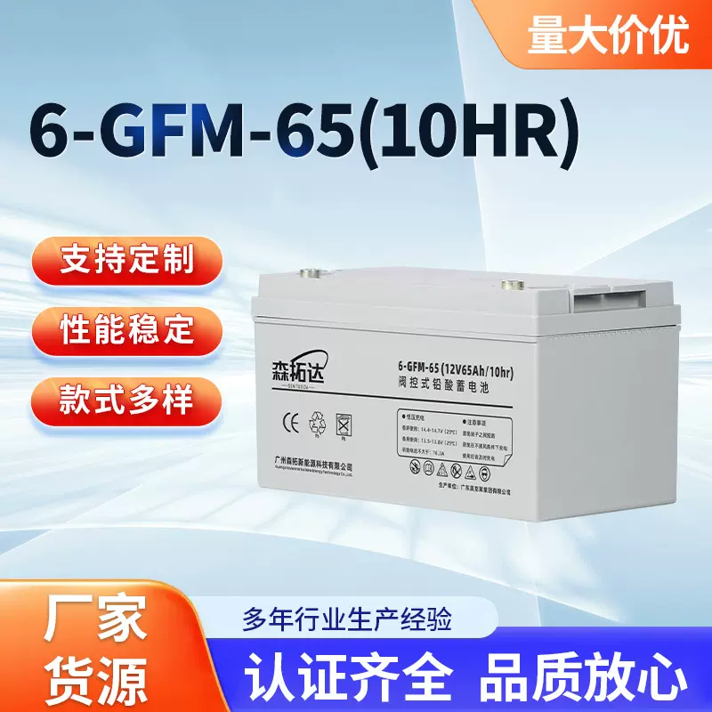 定制款6-GFM-65(10HR)阀控密封铅酸蓄电池通讯基站消防应急蓄电池