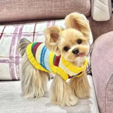 �����ﶬ�¿�s���ı��Ĳʺ�ë�±���ѩ�{��ᘿ��R���R����˹����